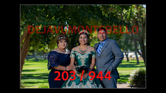 SLIDE LAND-203