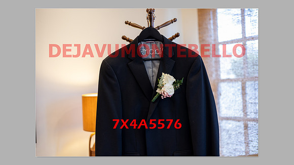 WEDDING 11_02_24-039