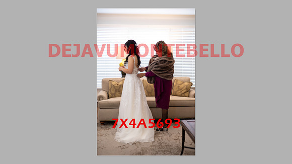 WEDDING 11_02_24-145