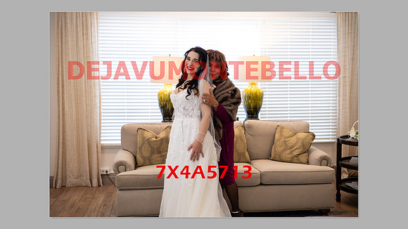 WEDDING 11_02_24-162