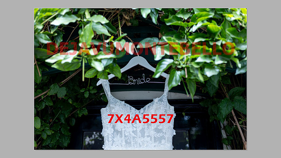 WEDDING 11_02_24-021