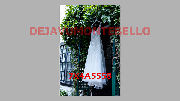 WEDDING 11_02_24-022