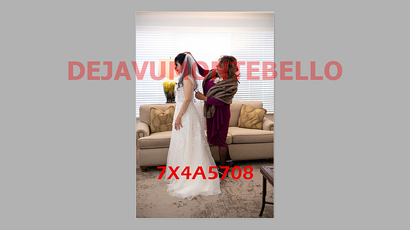WEDDING 11_02_24-157