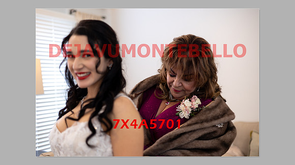 WEDDING 11_02_24-150