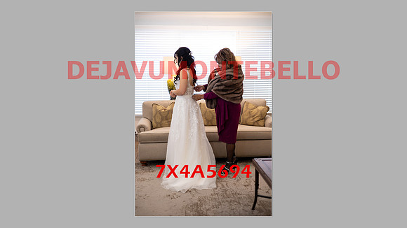 WEDDING 11_02_24-146