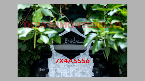WEDDING 11_02_24-020