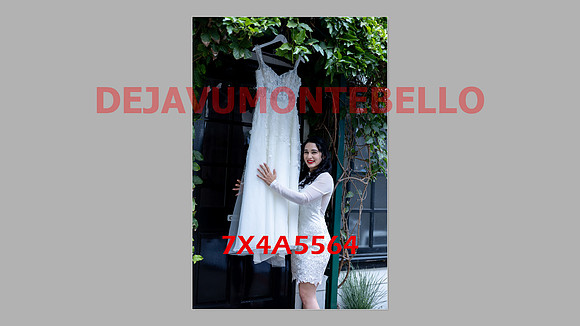 WEDDING 11_02_24-027