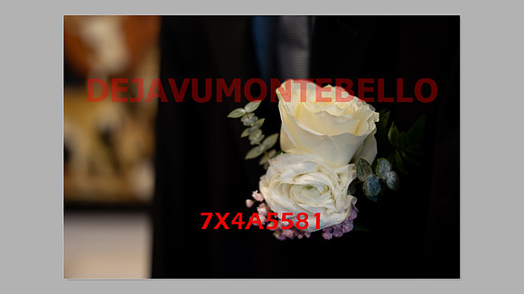 WEDDING 11_02_24-044