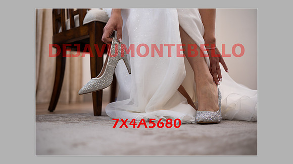 WEDDING 11_02_24-132