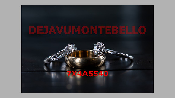 WEDDING 11_02_24-008