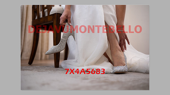 WEDDING 11_02_24-135