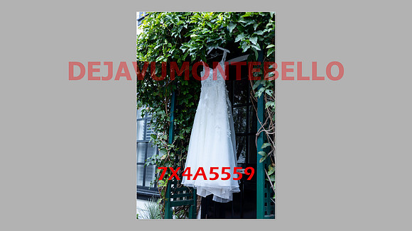 WEDDING 11_02_24-023