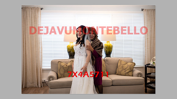 WEDDING 11_02_24-160