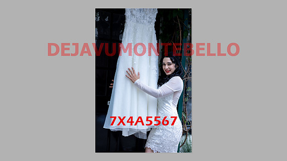 WEDDING 11_02_24-030