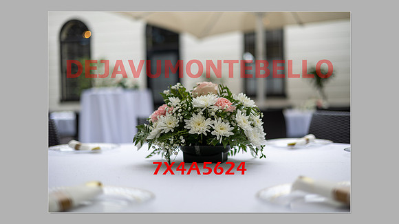 WEDDING 11_02_24-079