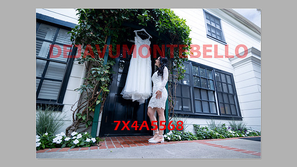 WEDDING 11_02_24-031