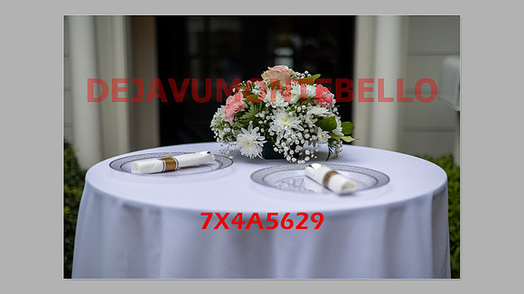 WEDDING 11_02_24-084