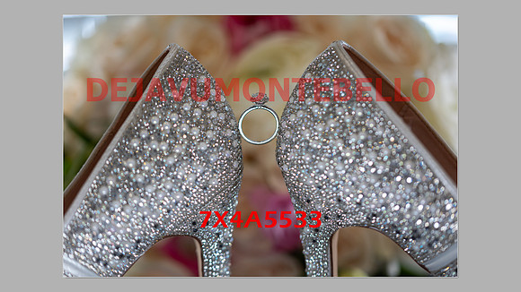 WEDDING 11_02_24-001