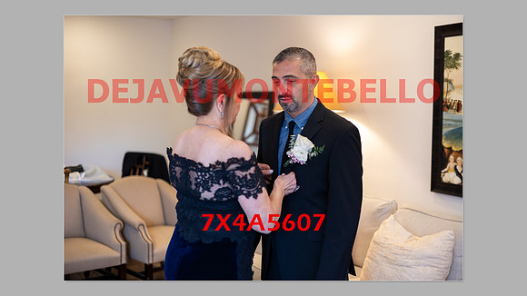 WEDDING 11_02_24-066