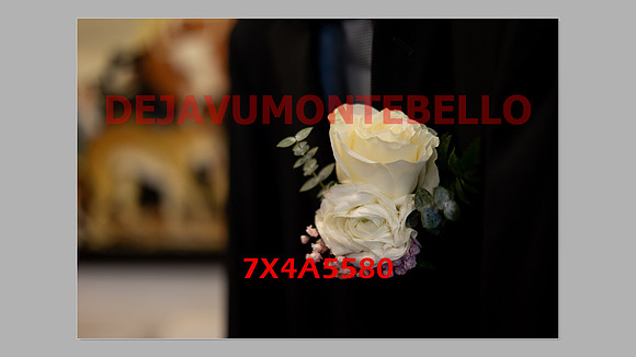 WEDDING 11_02_24-043