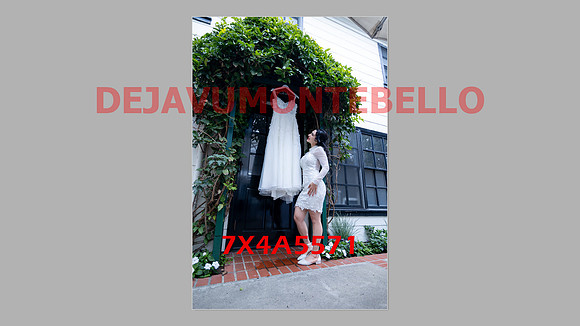 WEDDING 11_02_24-034