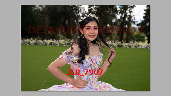 ALLISON SLIDESHOW-283