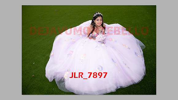 ALLISON SLIDESHOW-273