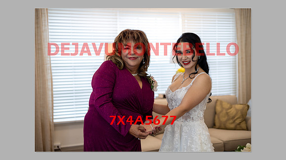 WEDDING 11_02_24-129