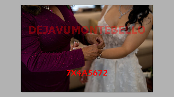 WEDDING 11_02_24-124