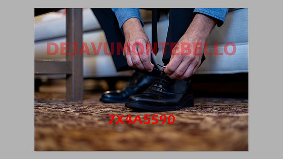 WEDDING 11_02_24-052