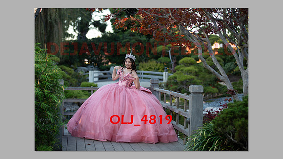 prrepics pink-057