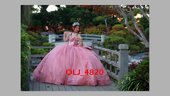 prrepics pink-058