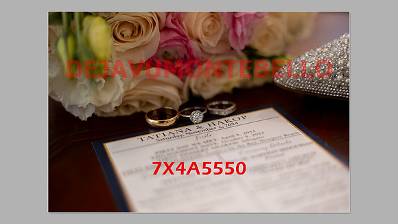 WEDDING 11_02_24-015
