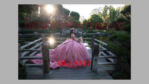 prrepics pink-023