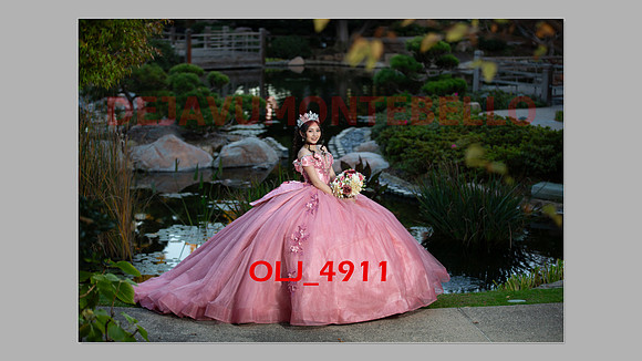 prrepics pink-119