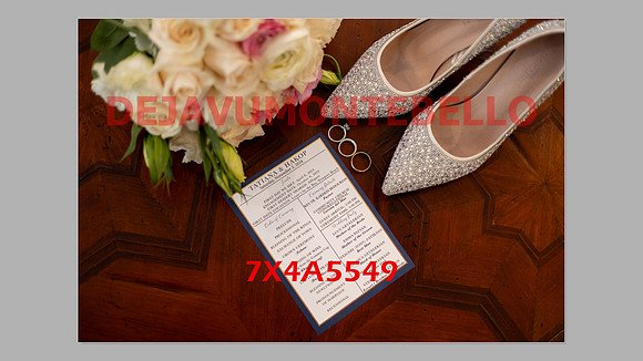 WEDDING 11_02_24-014