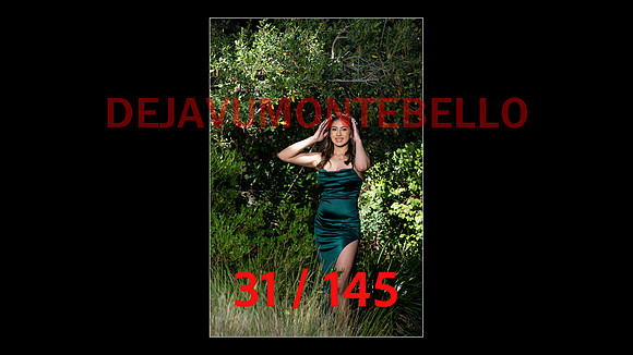 SLIDE XV-031