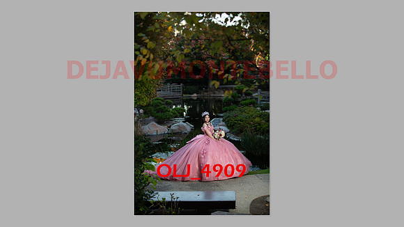 prrepics pink-117