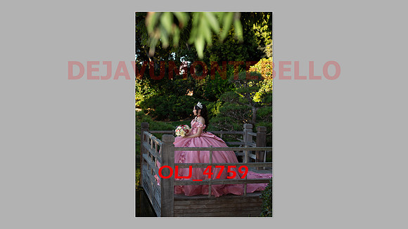 prrepics pink-014