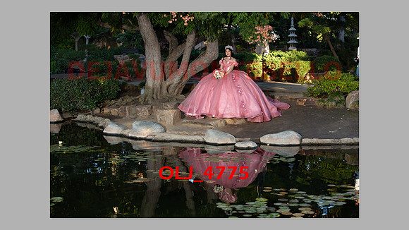 prrepics pink-025