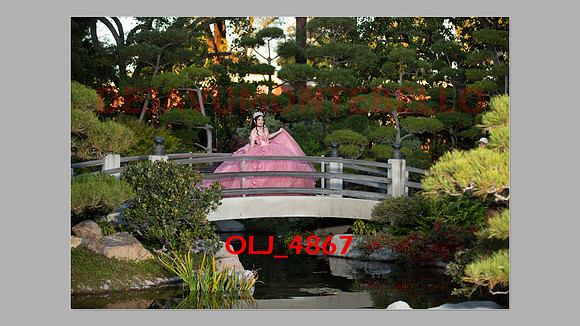 prrepics pink-085