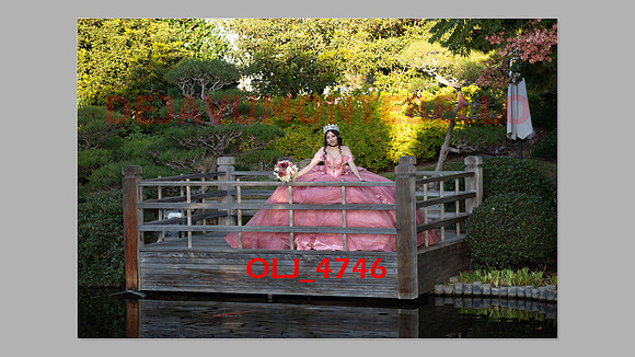prrepics pink-005
