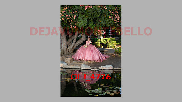 prrepics pink-026
