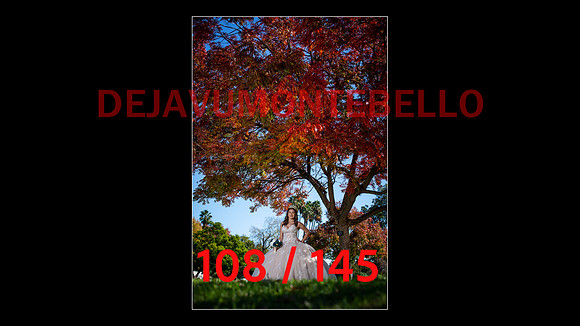 SLIDE XV-108