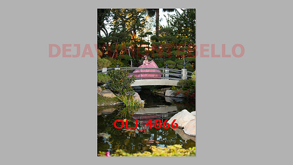 prrepics pink-084
