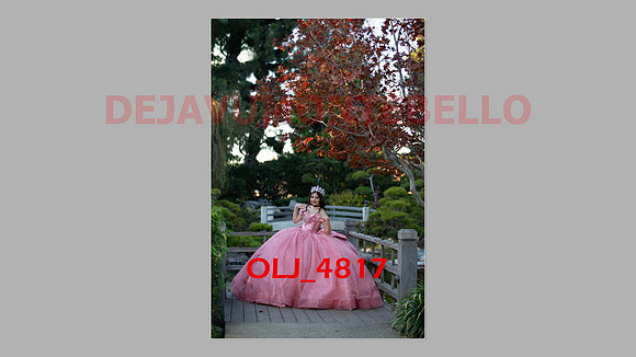 prrepics pink-055