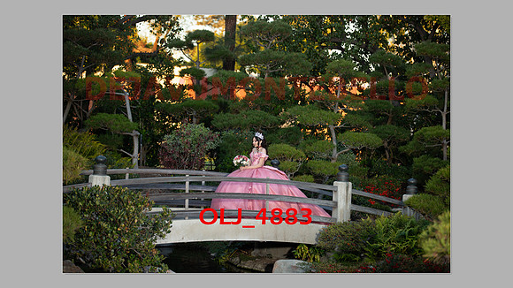 prrepics pink-101