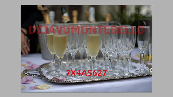 WEDDING 11_02_24-082