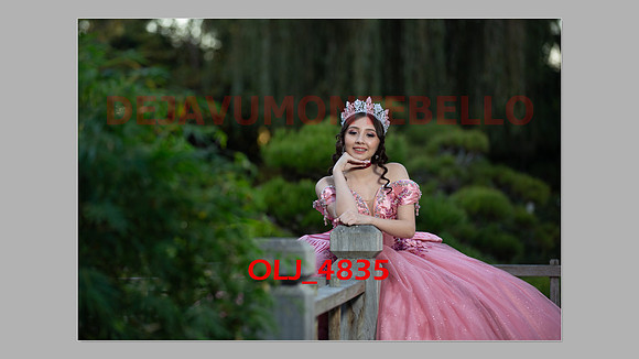 prrepics pink-069