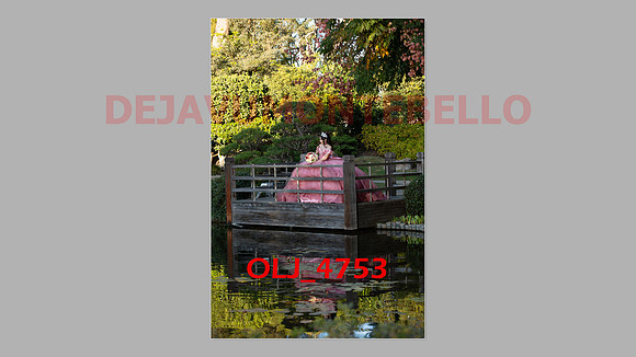 prrepics pink-012